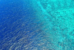 为什么海水是蓝色的？